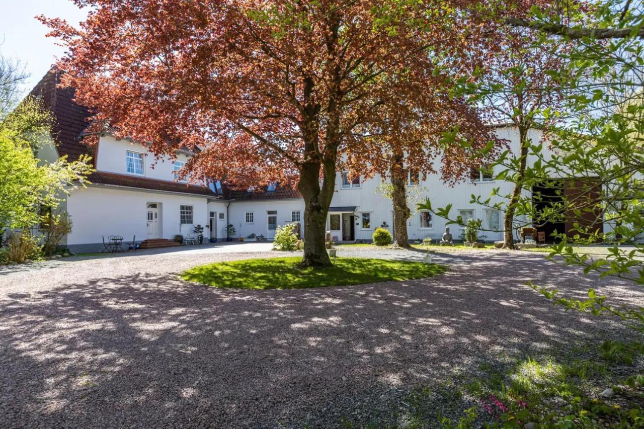 Denkerhof Ferienwohnung Deichblick Reußenköge Exterior foto
